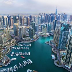 الإمارات تقود المنطقة في محاربة الفساد