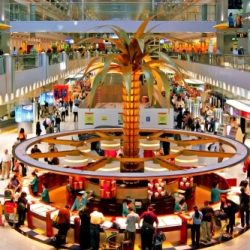 المنصوري: الإمارات أكبر مستثمر عربي بالسوق الأمريكي