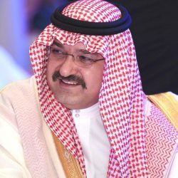 الإمارات تعيد البريق لسباقات الخيل العربية في ألمانيا