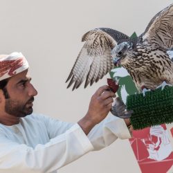 الشقق الفندقية تجتذب العائلات الخليجية في دبي