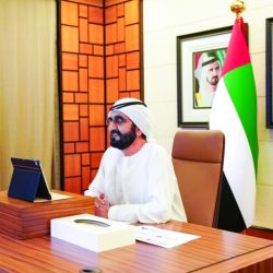 مجلس الوزراء الإماراتي يعتمد قرار بخصوص نشر المعلومات الصحية