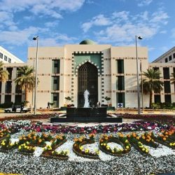 جامعة الإمارات تطلق برنامجاً تدريبياً لريادة الأعمال