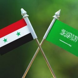 دولة الإمارات: تفعيل الدور العربي لحل الأزمة السورية لا غنى عنه للاستقرار