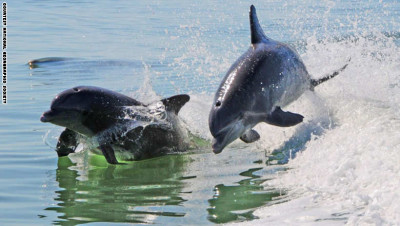 10 وجهات للسفر ستغيّر حياة أطفالكم إلى الأبد!