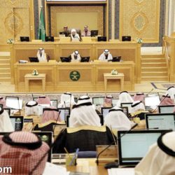 161 مليار دولار استثمارات صينية مباشرة بالخارج في 2016