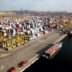 رأس الخيمة: تحدي “فيا فيراتا” في أعلى منطقة جبلية بالدولة هذا الشهر