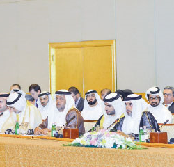 «إنسولير الإمارات أحدثت ثورة في عالم الطاقة الشمسية