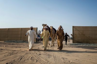 انطلاق النسخة الثالثة من “رحلة الهجن الإستكشافية”