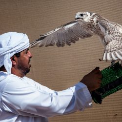 47 عقداً عقارياً بقيمة إجمالية قدرها 11 مليار درهم