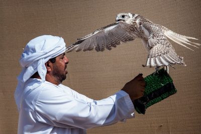 انطلاق النسخة الخامسة من بطولة فخر الأجيال للصيد بالصقور