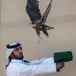 ارتفاع الين يخفض الأسهم اليابانية