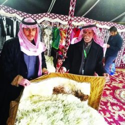 3 مليارات دولار لتوسعة مطارات دبي