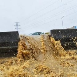 الشيخ محمد بن راشد ومحمد بن زايد يؤكدان بناء قدرات وطنية علمية