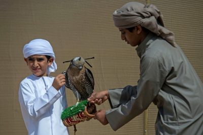 260 مشاركا بـ “الناشئين” في بطولة فخر الأجيال للصيد بالصقور