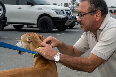 10 أشواط تأهيلية للهواة تدشن النسخة الجديدة لبطولة السلق