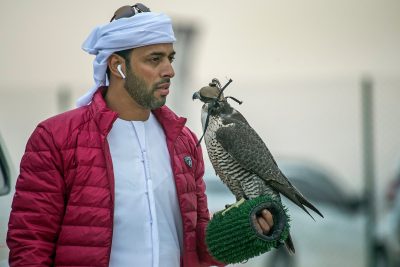 ختامي منافسات الطائرة اللاسلكية في بطولة فخر الأجيال