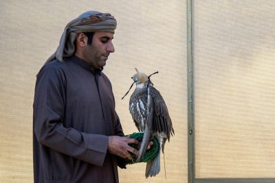 غيث” لـ”حمدان بن محمد” يحقق أسرع الأزمنة في بطولة فخر الأجيال للصيد بالصقور