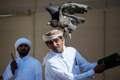 بطولة فخر الأجيال للصيد بالصقور تدشن النسخة الخامسة بـ 320 مشاركة و4 فئات