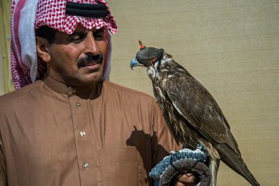 مشاركة خليجية كبيرة في بطولة فخر الأجيال للصيد بالصقور