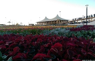 استعدادات لاستقبال نصف مليون زائر لمهرجان «الورد الطائفي 13»