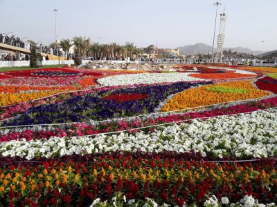 سيدات مراكز أحياء جدة يطلعن على تجارب الأسر المنتجة في مهرجان الورد الطائفي