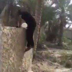 زيدان: الفوز على برشلونة لا يعني تتويجنا بالليغا‎