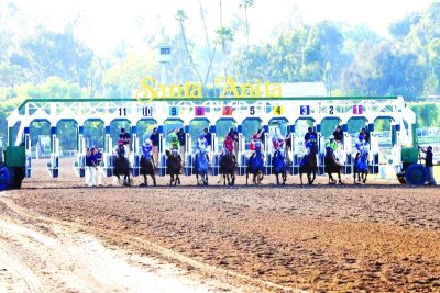 12 خيلاً في سباق «أم الإمارات» دارلي أوورد ستيكس