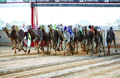 «اللقايا» تدشّن كأس مكتوم بن راشد اليوم