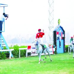 12 خيلاً في سباق «أم الإمارات» دارلي أوورد ستيكس