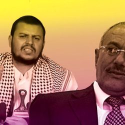 الشيخ خليفة: التلاحم المصري سيدحر الإرهاب