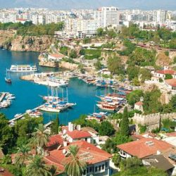 شاهد .. شاب يعتدي على مسنين في شوارع الرياض