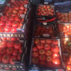 مدينة لوزان.. الوجهة الأمثل لقضاء العطلات العائلية والرومانسية