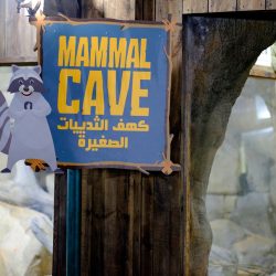 فندق ريكسوس النخلة دبي يطلق عروضاً حصرية خلال شهر رمضان المبارك