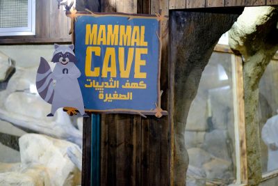 افتتاح كهف الثدييات  في حديقة الإمارات للحيوانات
