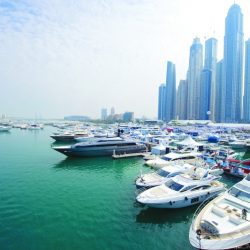 الشيخ حامد بن زايد يحضر انطلاق المنتدى الاقتصادي العالمي في الأردن