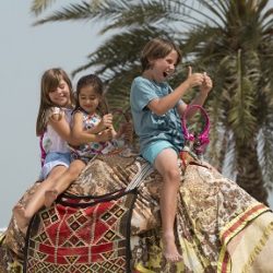 منتجع سانت ريجيس السعديات يطلق عروض المأكولات العالمية