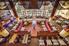 منتجع و سبا “Nikki Beach  ” دبي ..   رياضات بحرية وبرامج ترفيهية على شاطئ لؤلؤة الجميرا