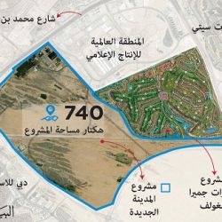 هيئة الترفيه تشعل سماء جدة بطائرات بهلوانية احتفالاً باليوم الوطني