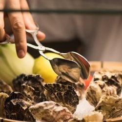 ” آيريس” يستضيف معرض العقارات الفلبيني في أبوظبي