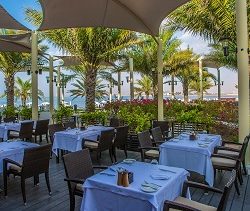 نزهة عائلية في قصر الإمارات كل أول سبتٍ من الشهر