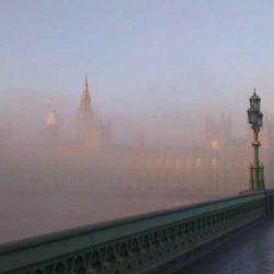 فتح باب التسجيل  لبطولتي فزاع للصيد بالصقور وفخر الأجيال 2018