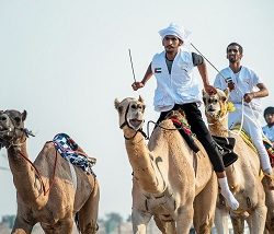 دوريات أمن محافظة جدة تحبط محاولة الشروع في تكسير جهاز صراف آلي