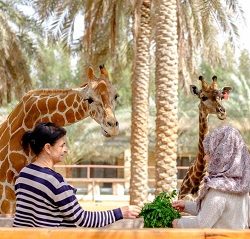 مدير عام الخطوط السعودية يدشن صالة إنهاء إجراءات السفر وقبول الأمتعة بجدة