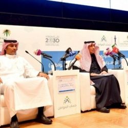 «هيئة تنظيم الكهرباء » توضح آلية تطبيق تعريفة الكهرباء الجديدة