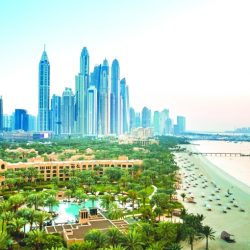 «اقتصادية دبي» تصدر 616 رخصة تاجر إلكتروني