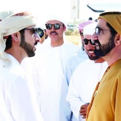 التعاون الخليجي المصدر الأول لسياح دبي