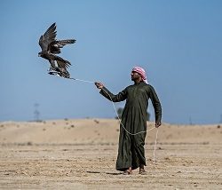 “عشاء ملوكي” في ليلة المأكولات البحرية بقصر الامارات