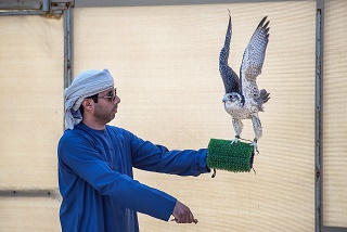 النسخة السادسة من بطولة فخر الأجيال