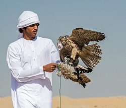 الأوامر الملكية نظمت مسيرة الوطن في جميع قطاعاته