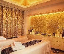 بطولة فزاع للصيد بالصقور (التلواح) تقدم نجوم المستقبل